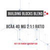 BUILDING BLOCKS BLEND